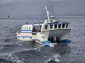 Main picture for advert 148467
