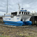 Extra picture for advert 148467
