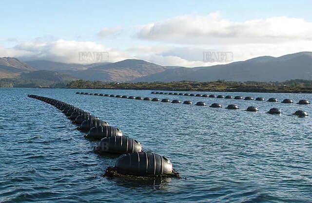 WANTED UP TO 100 MUSSEL LINE BUOYS - picture 1