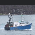 Extra picture for advert 145469