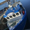 Extra picture for advert 145469