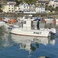 Thumbnail for picture 5