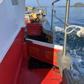 Extra picture for advert 146470