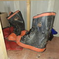 Thumbnail for picture 6