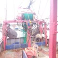 Extra picture for advert 119472