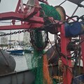 Extra picture for advert 119472