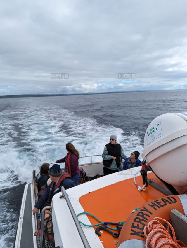 Large picture for advert 144473