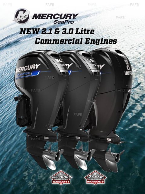 Mercrury SeaPro Commercial Outboards - picture 1