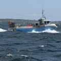 Extra picture for advert 148473