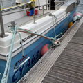 Extra picture for advert 148473
