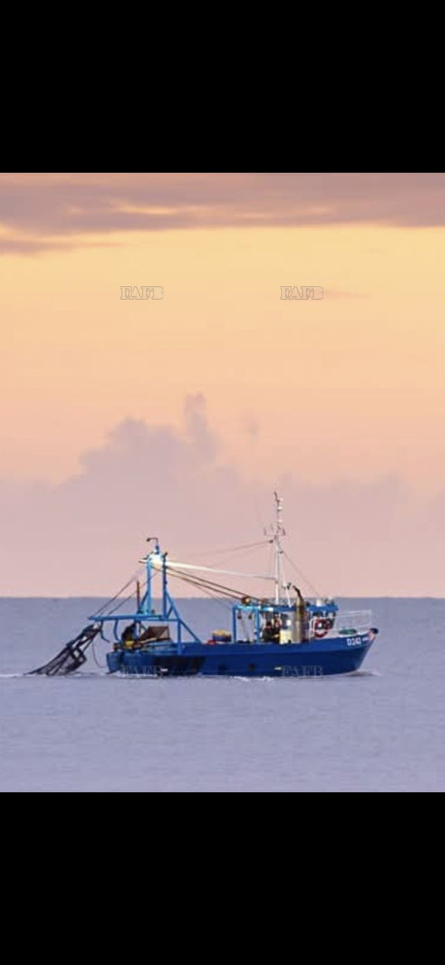 Large picture for advert 139481