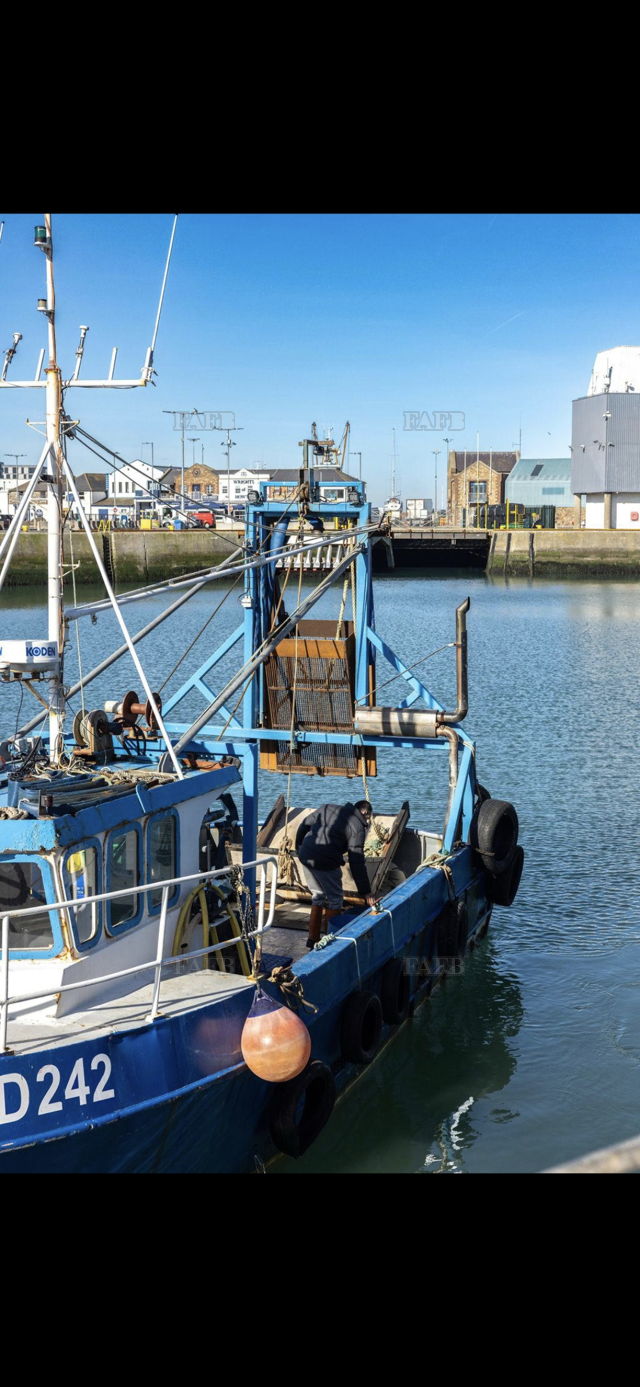 Large picture for advert 139481