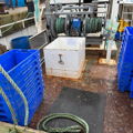Extra picture for advert 147481