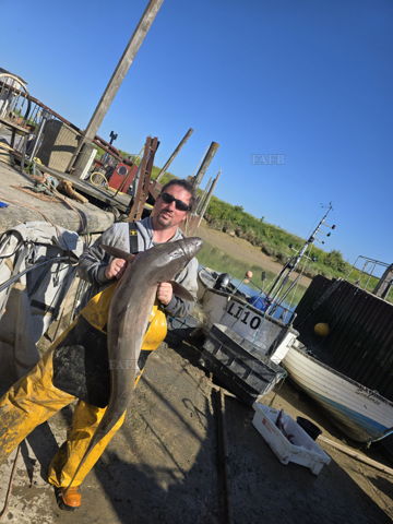 Qaulified Offshore Skipper