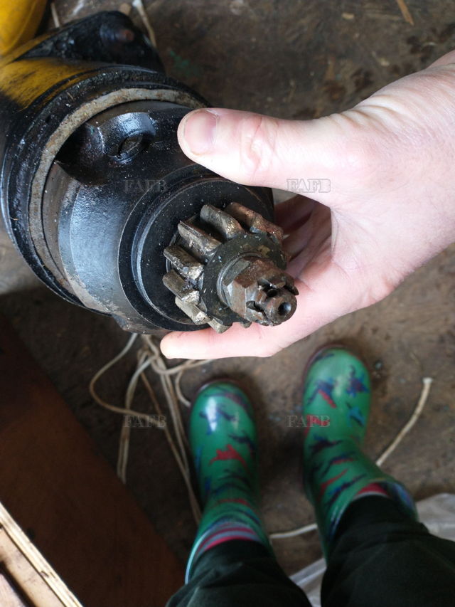 Large picture for advert 144485