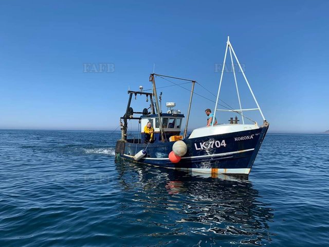 Large picture for advert 107485