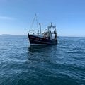 French built trawler scalloper - picture 5