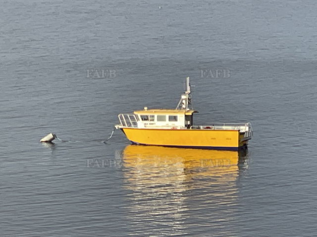 Large picture for advert 143486