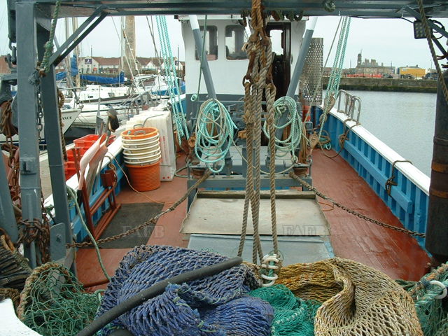 Large picture for advert 120486