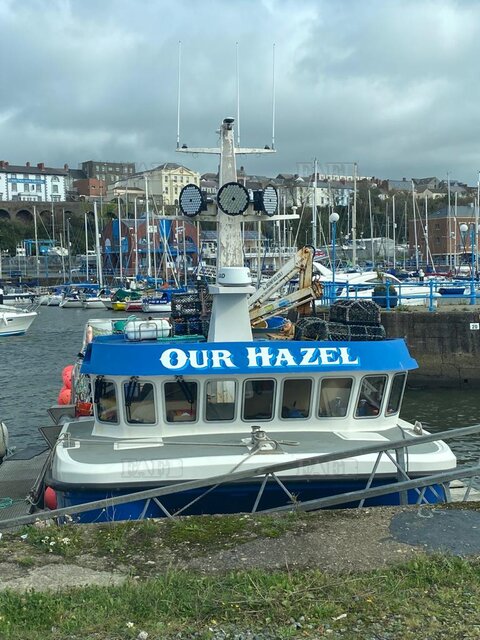 Large picture for advert 113487