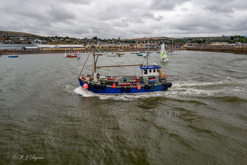 deckhand whelk boat