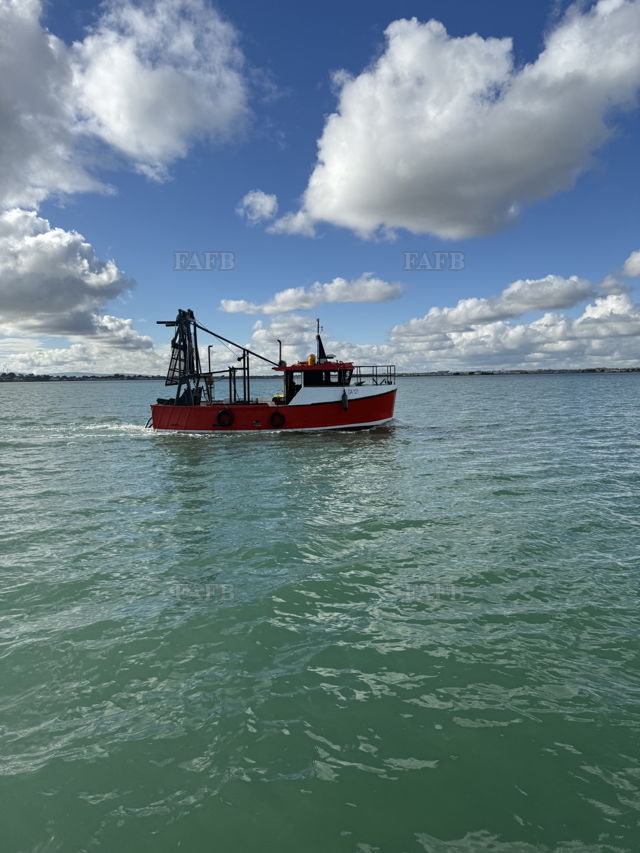 Large picture for advert 146490