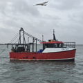 Extra picture for advert 146490