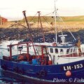 Thumbnail for picture 8