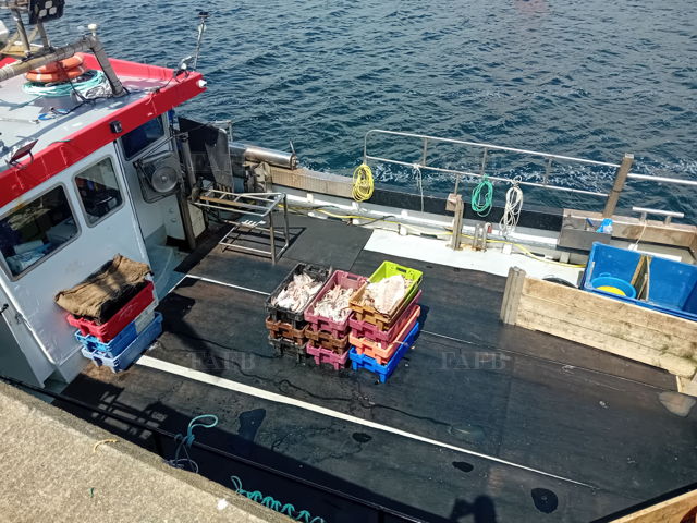 Large picture for advert 143494