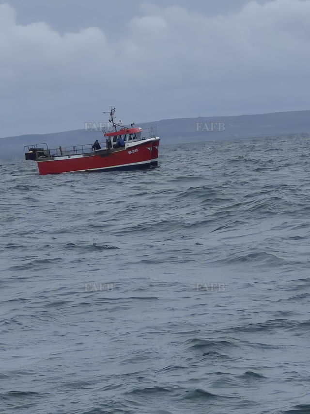 Large picture for advert 143494