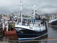 Macduff - Constant friend N83 - ID:123494