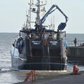 Macduff - picture 25