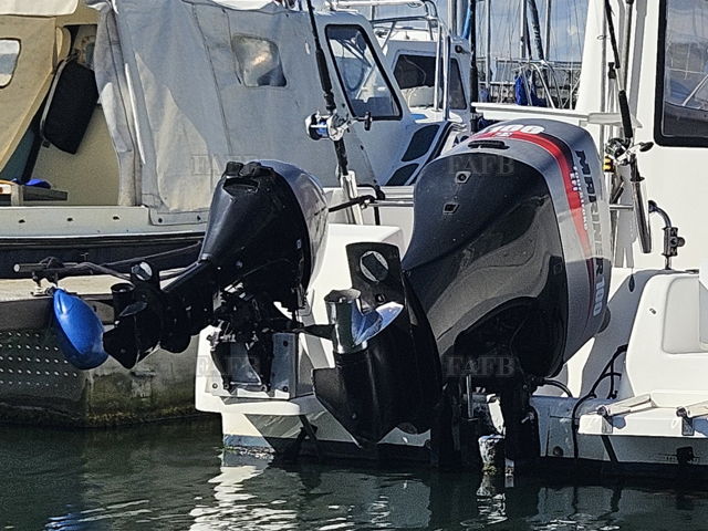 Large picture for advert 143499