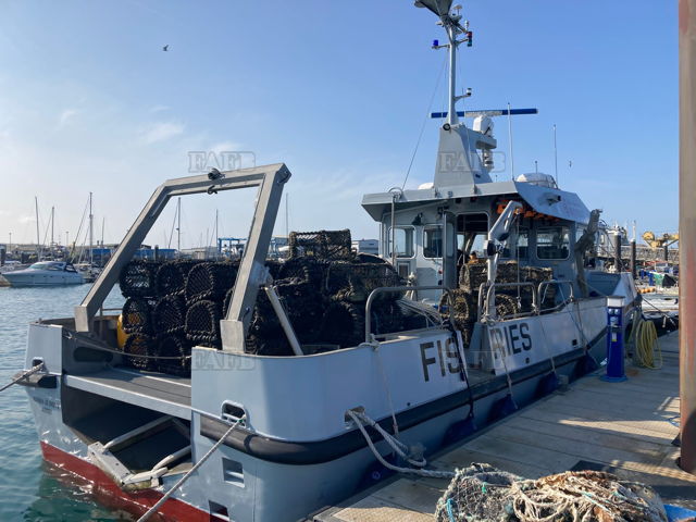 Large picture for advert 144499