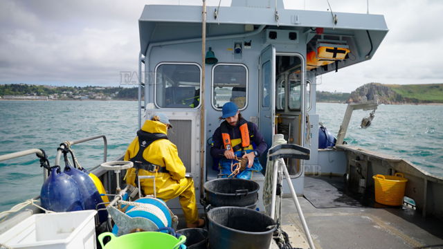 Large picture for advert 144499