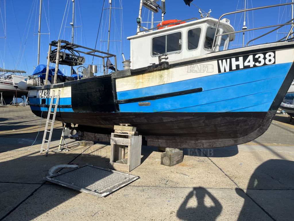 Starfish 8