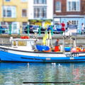 Thumbnail for picture 6