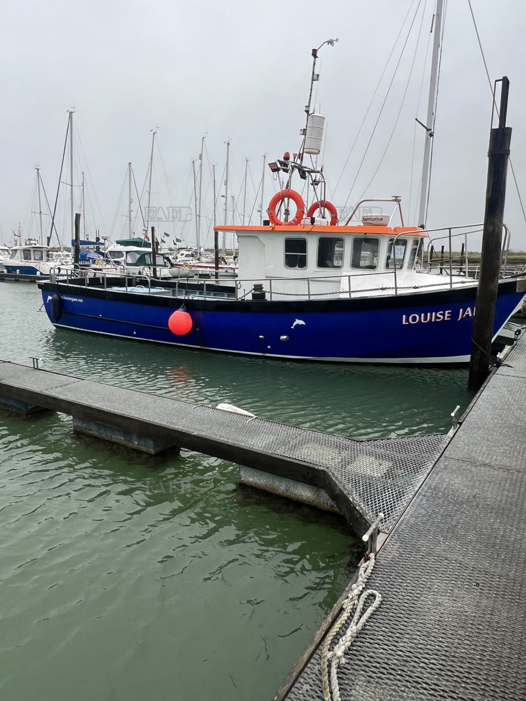 Suffolk 35