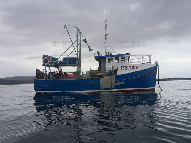 Large picture for advert 140501