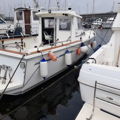 Extra picture for advert 148503