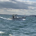 Extra picture for advert 146504