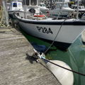 Extra picture for advert 146504