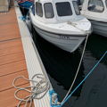 Extra picture for advert 147504