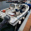 Extra picture for advert 147504