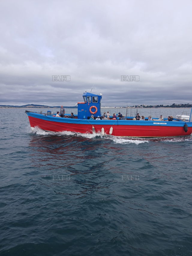 Large picture for advert 144505