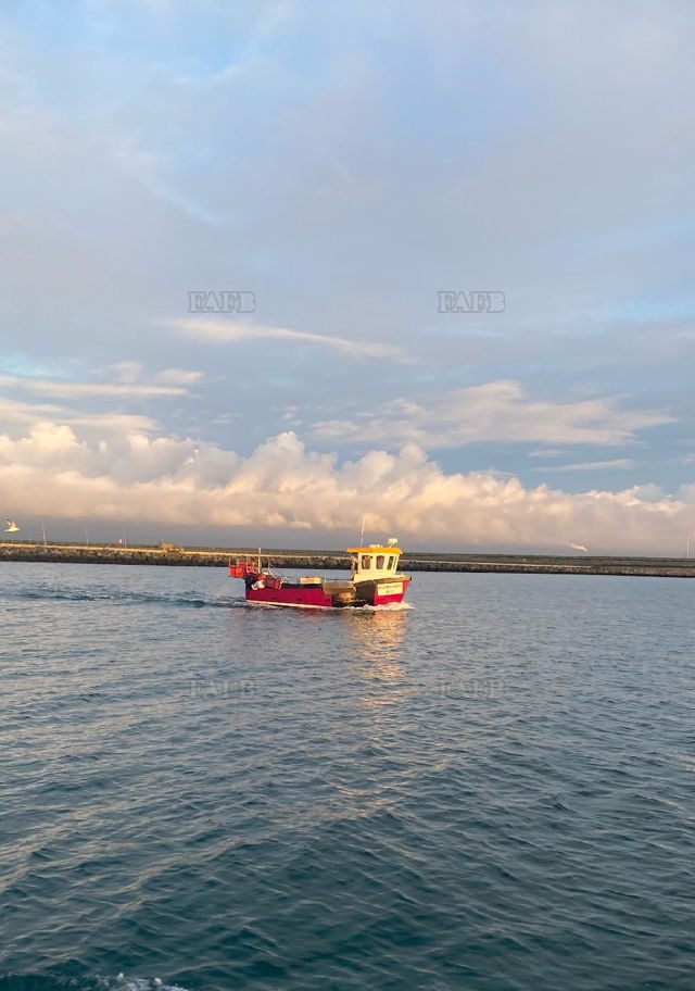 Large picture for advert 144506