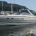 Extra picture for advert 143506