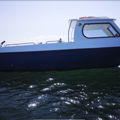 Thumbnail for picture 12