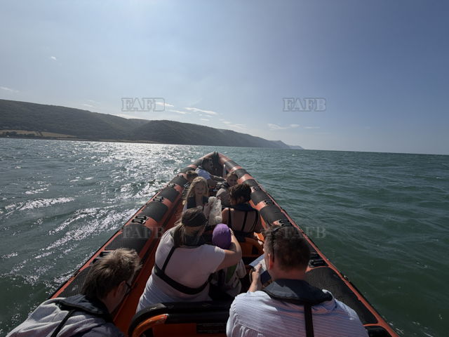 Large picture for advert 148509
