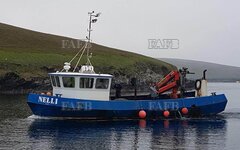 Sp/f Rosendal Faroe - Nelli - ID:130511